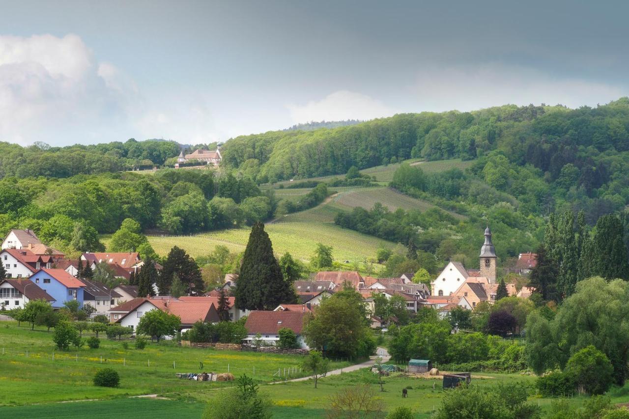 Landhotel Hauer Pleisweiler-Oberhofen Экстерьер фото