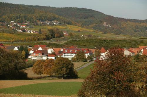 Landhotel Hauer Pleisweiler-Oberhofen Экстерьер фото